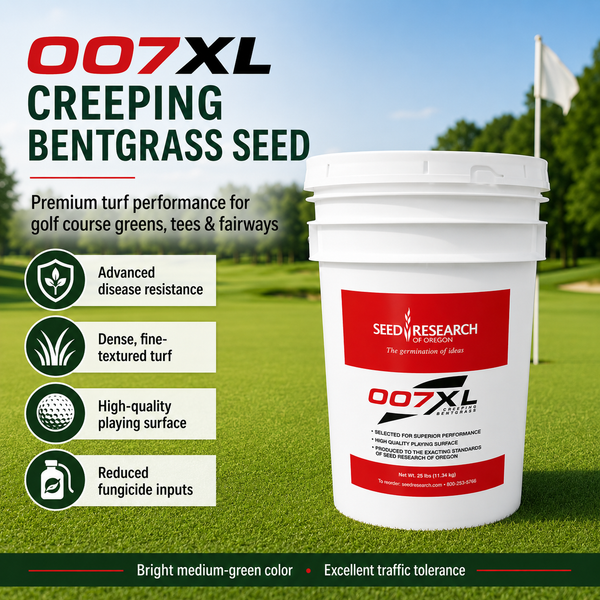 007XL Creeping Bentgrass Seed 25 Lbs Turf Grade– Seed World