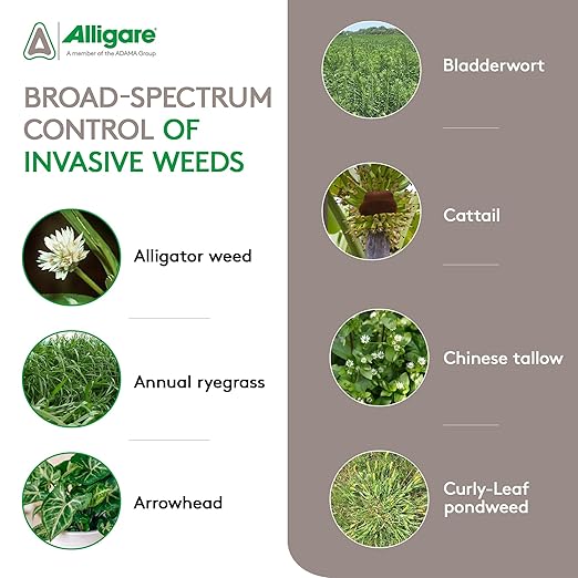 Imox Imazamox Herbicide (Beyond, Raptor, Clearcast Alternative