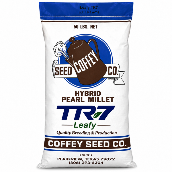 Leafy TR7 Hybrid Pearl Millet Seed (Thiram Treated) | Seed World
