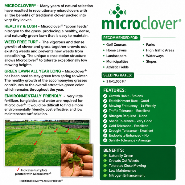 planting micro clover seed Micro Clover Seed Coated & Inoculated