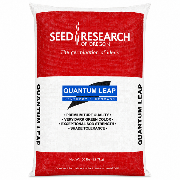 Quantum Leap (Midnight-type) Kentucky Bluegrass Seed (Certified