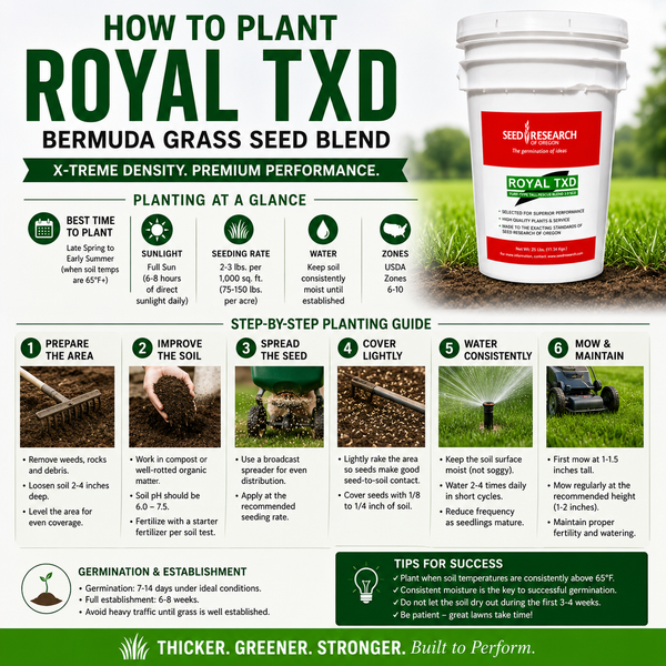 best time to plant bermuda seeds Royal TXD Bermuda Grass Seed Blend– Seed World