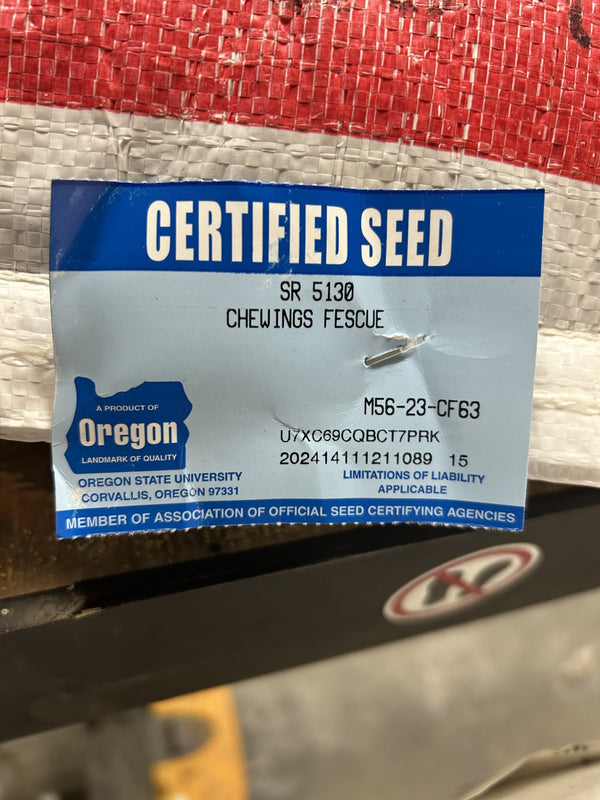 SR 5130 Chewing Fine Fescue Grass Seeds (Certified) | Seed World