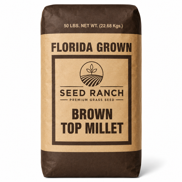 millet seed planting depth Brown Top Millet Seeds