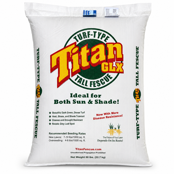 Titan GLX Turf-Type Tall Fescue Seed | Seed World