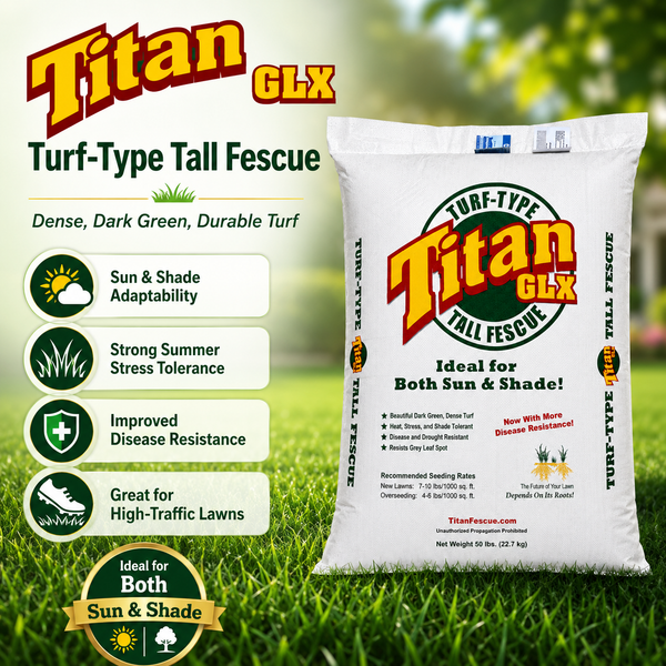 Titan_GLX_Tall_Fescue_Grass_Se