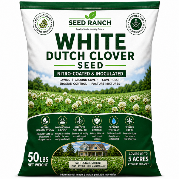 dutch garden seeds White Dutch Clover Seed Nitro Coated & Inoculated- 5 Lbs