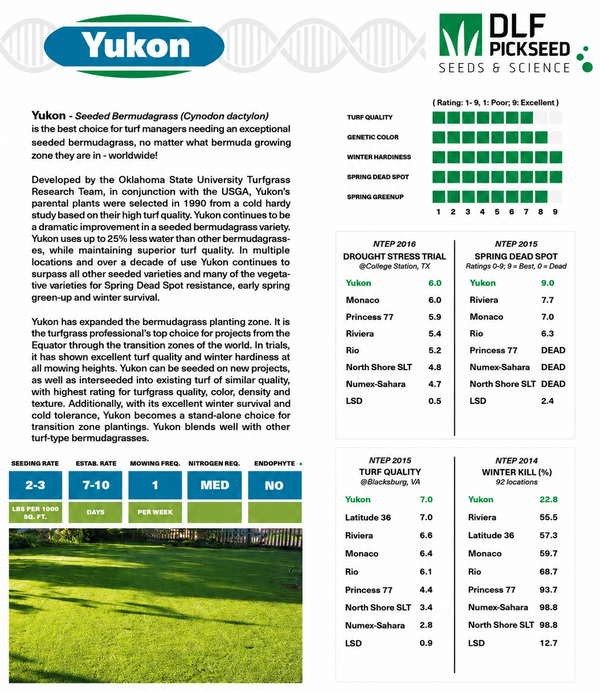 Yukon Bermuda Grass Seed