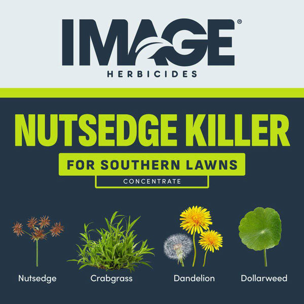prosedge herbicide nutsedge Image Nutsedge Herbicide Ready-To-Spray "Weed Killer"