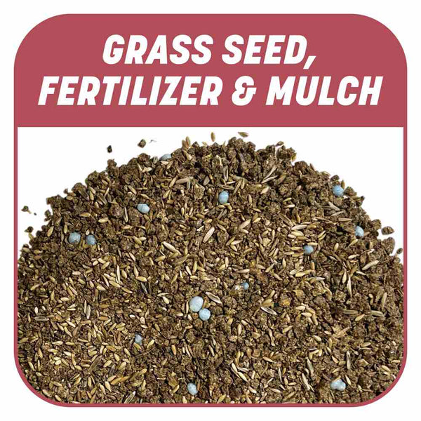 Pennington Zenith Zoysia Smart Patch Seed 5 Pounds– Seed World