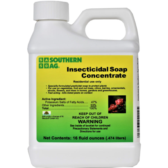 insecticidal soap lowes Insecticidal Soap Concentrate