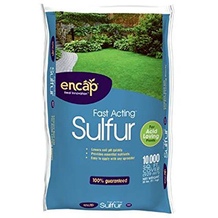 high acid plant fertilizer Encap Fast Acting Sulfur, 20 lb