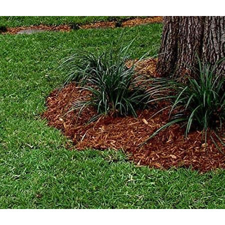 centipede grass seed lowe's Double Eagle® Centipede Grass Seed 100% Pure Seed– Seed World