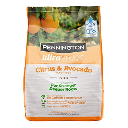 Pennington UltraGreen Citrus & Avocado 10-5-5 Plant Food Fertilizer