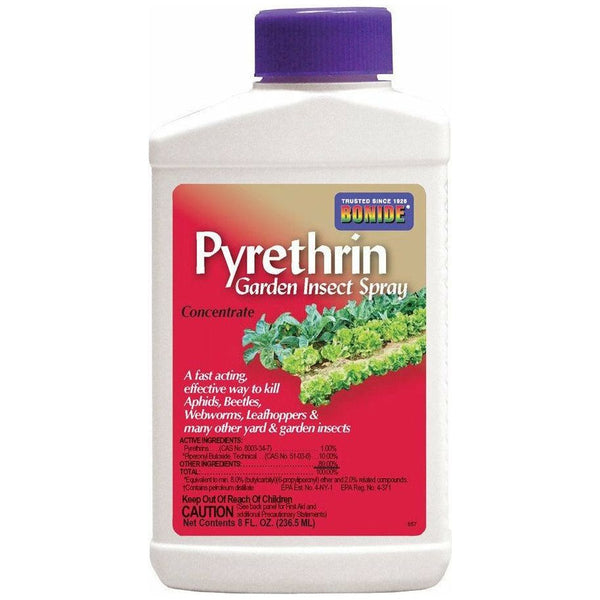 pyrethrin bonide garden insect spray concentrate 16 oz Bonide Pyrethrin Garden Insect Spray