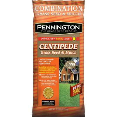 plant centipede grass seed Pennington Centipede Grass Seed & Mulch