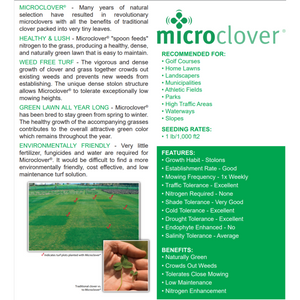 Micro Clover Seed Coated & Inoculated - Seed World