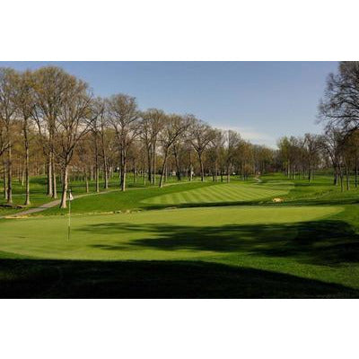 princess 77 bermuda grass seed lowes Princess 77 Bermuda Grass Seed (Discontinued)