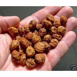 planting chufa seed Seed Ranch Chufa Seed Non-GMO All Natural
