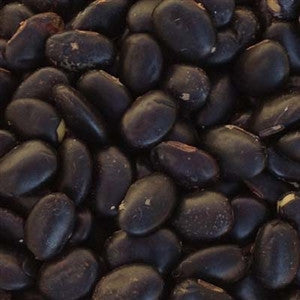 Laredo Soybean Seed - 1 Lb. - Seed World