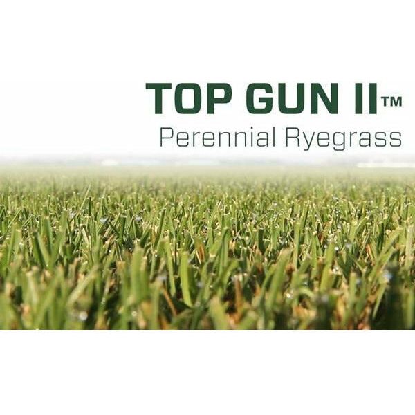wildflower seed gun Top Gun II Perennial Ryegrass Seed