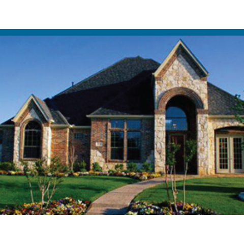 Quantum Leap (Midnight-type) Kentucky Bluegrass Seed - Seed World