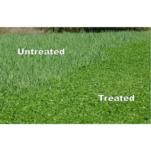 arrest max slay herbicide Arrest Max Herbicide Grass Control