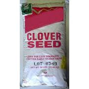 (Pre-Order Ships Spring) Alyce Clover Seed - Seed World