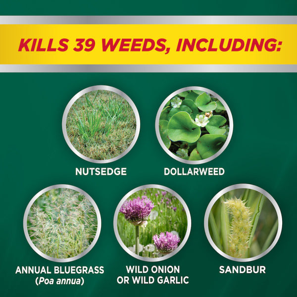 Image Nutsedge Concentrate Herbicide 24 Oz. Seed World