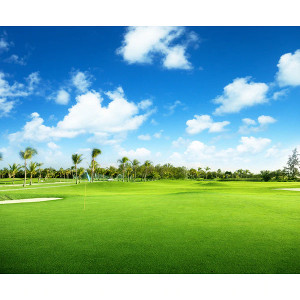 Blackjack Bermuda Grass Seed Seed World