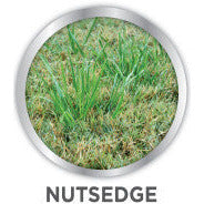 all in one herbicide Image All-In-One Lawn Weed Killer Herbicide