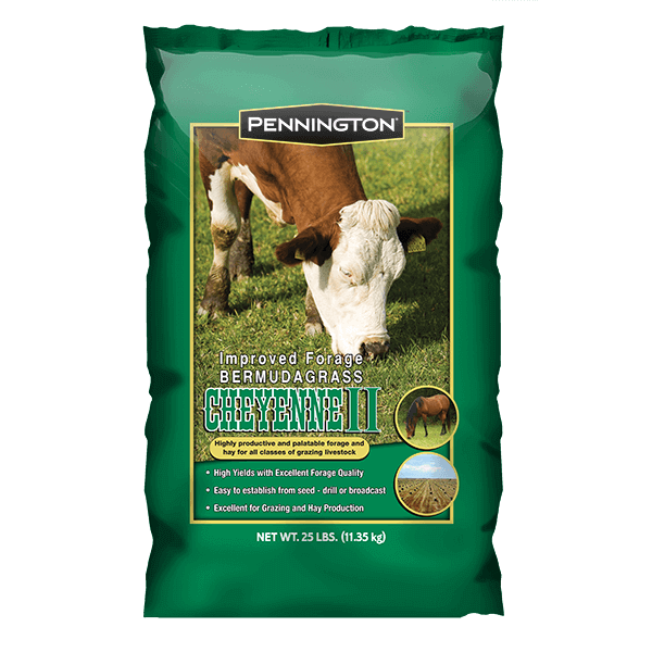 bermuda grass pasture herbicide Poor Harvest 2026) Cheyenne II Bermuda Grass Seed– Seed World