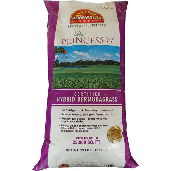 princess 77 bermuda grass seed lowes Princess 77 Bermuda Grass Seed (Discontinued)