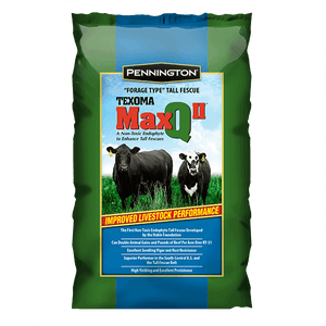 MaxQ II Tall Fescue Perennial Grass - 25 lbs. - Seed World