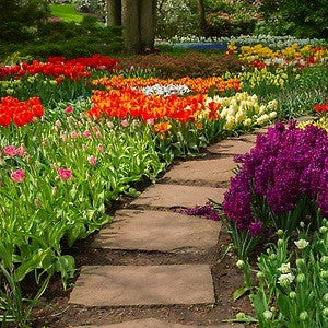 It’s time to start gardening.