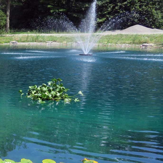 Pond & Lake Supplies