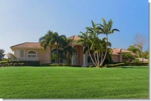 Bahia Grass Seed
