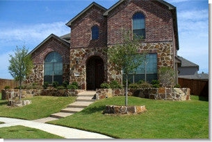 Bluegrass Lawn Seed