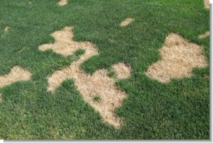 Fungicide Catalog