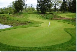 Professional Turf Grass Seed Catalog