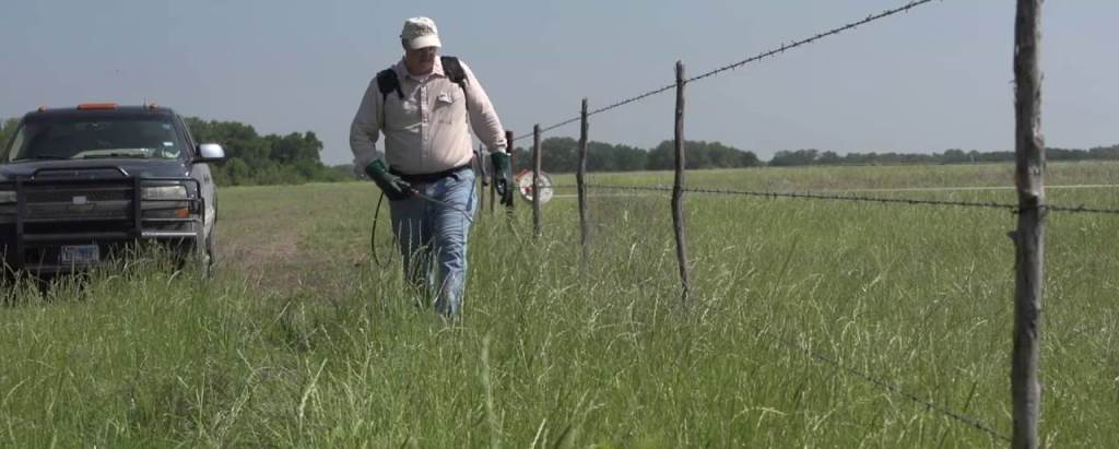 Triclopyr Herbicides | Brush Killers