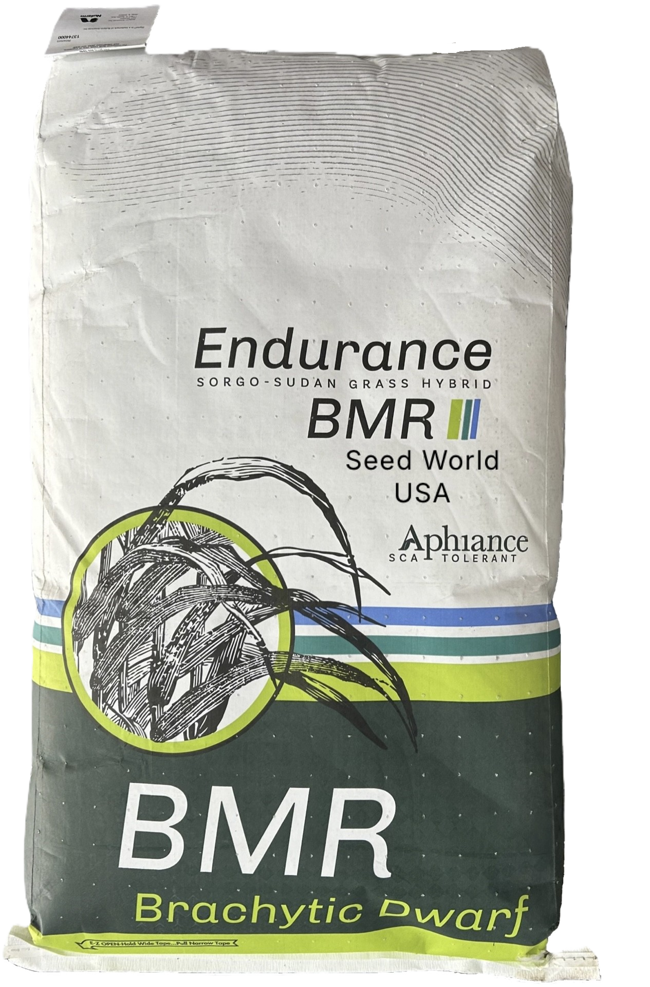 Endurance BMR Sorghum Sudangrass Seeds (Aphid Tolerant) - Seed World