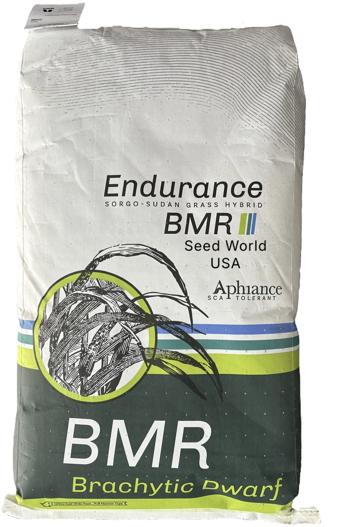 Endurance BMR Sorghum Sudangrass Seeds (Aphid Tolerant) - Seed World