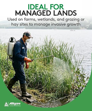 Imox Imazamox Herbicide (Beyond, Raptor, Clearcast Alternative)– Seed World