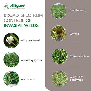beyond xtra herbicide Imox Imazamox Herbicide (Beyond, Raptor, Clearcast Alternative)