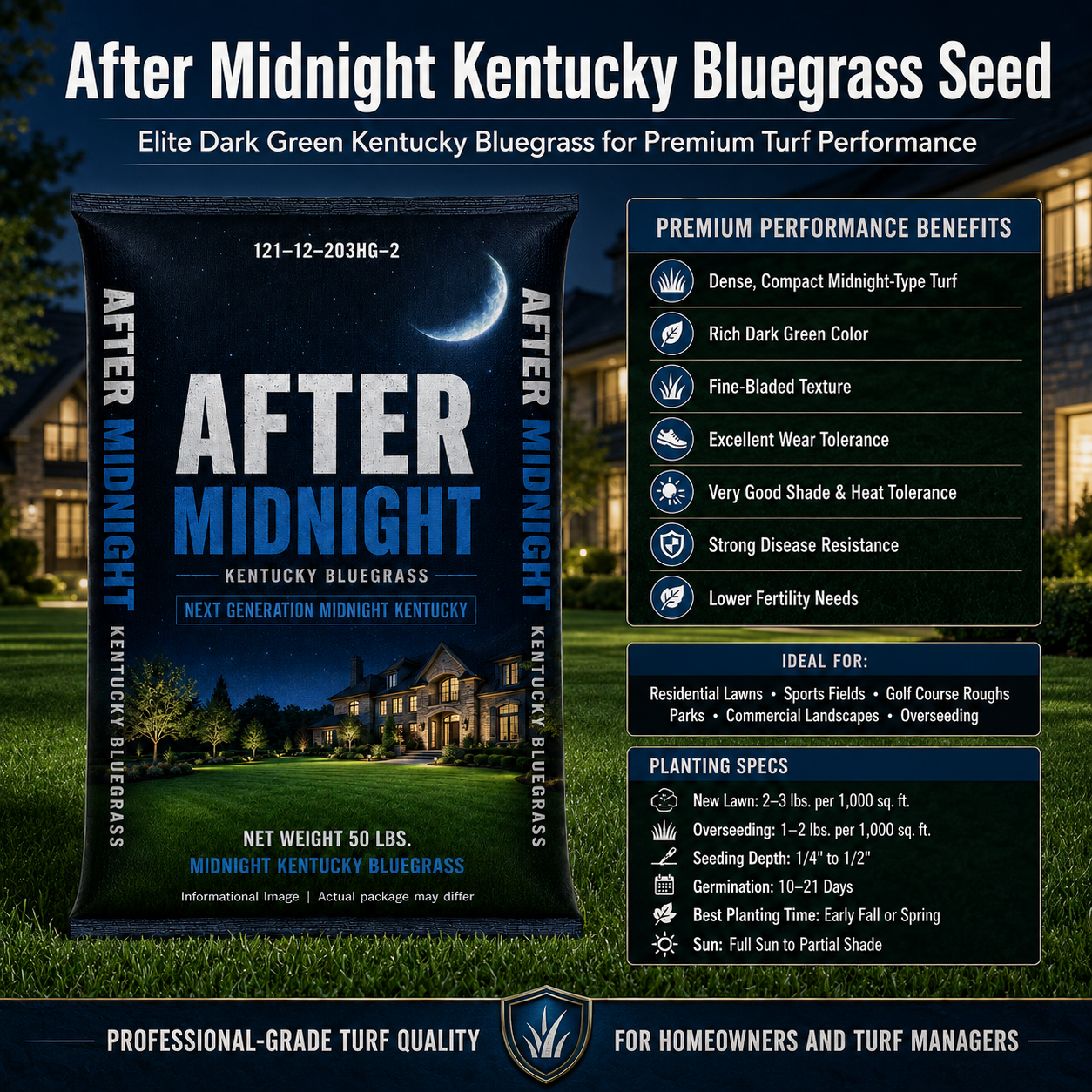 After Midnight Kentucky Bluegrass Seed