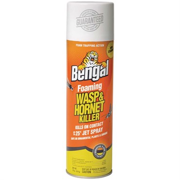 Bengal Foaming Wasp & Hornet Killer - 16oz - Jet Spray - Seed World