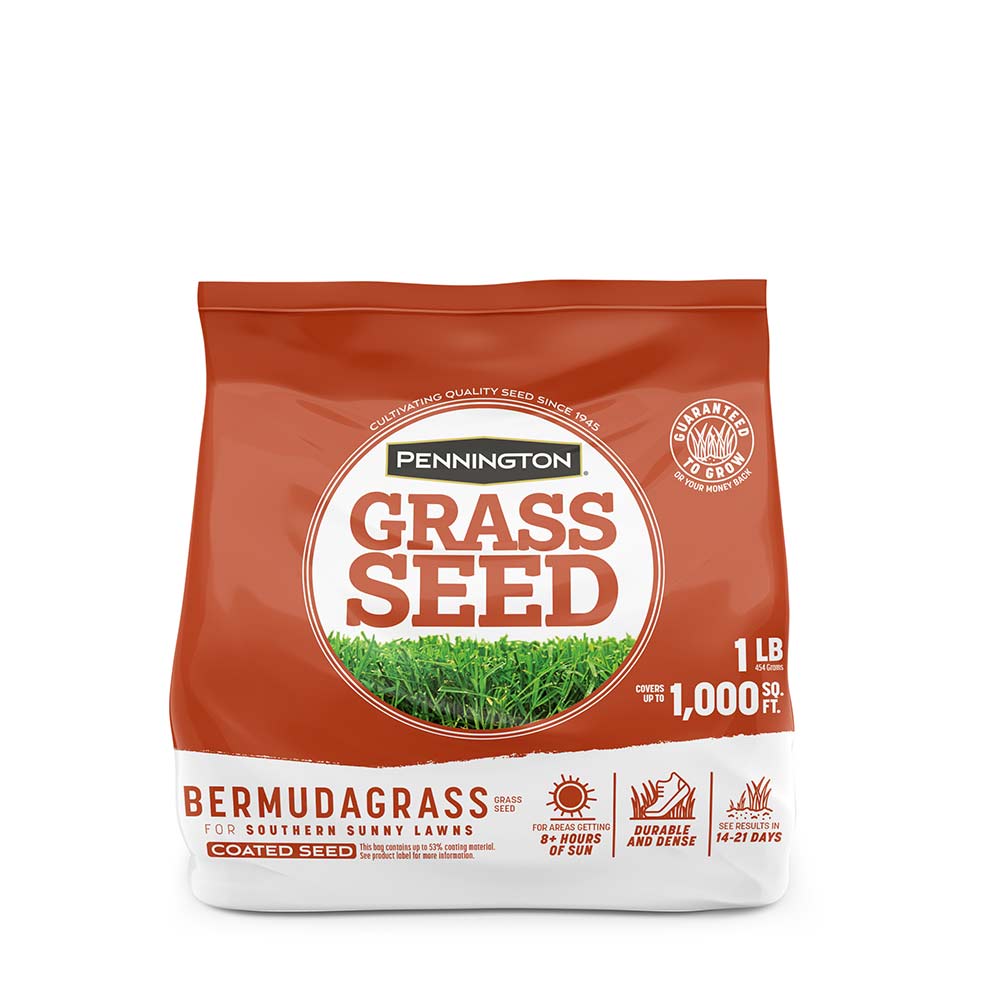 Pennington Bermundagrass - 1 Pound