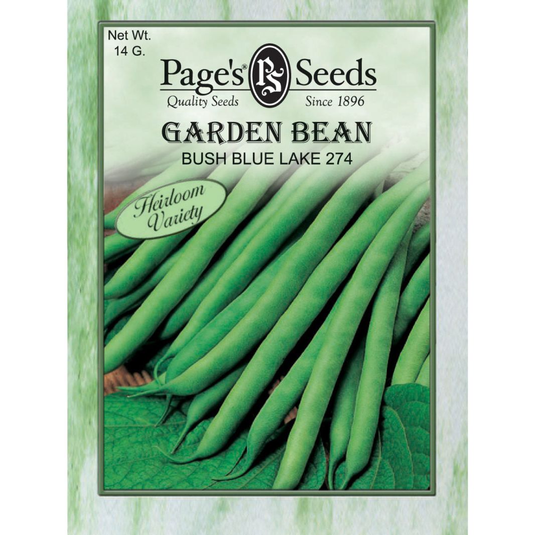 free shipping garden seeds Page's Seeds Bush Blue Lake 274 Garden Bean Seed Packet Each