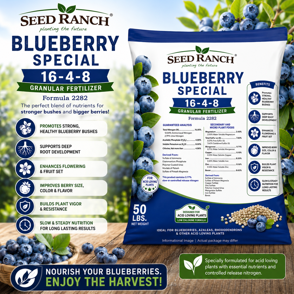 Blueberry Special 16-4-8 Granular Fertilizer - 50 Lbs. (Formula 2282)